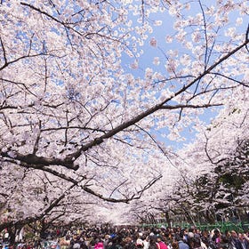 上野