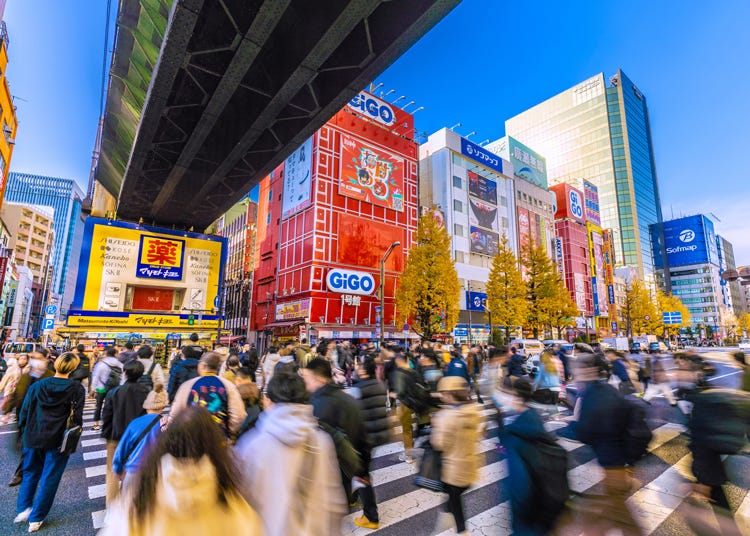 23 Quirky and Fun Things to Do in Akihabara