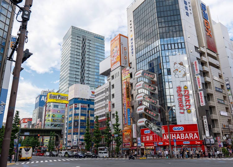 Race or Roam: Go-Karting & Walking Tours in Akihabara