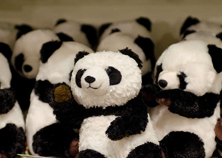 6. Buy Pandas