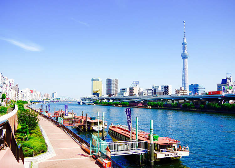 Menikmati pemandangan TOKYO SKYTREE(R)