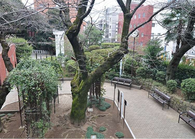 六本木で日本情緒を感じられる場所