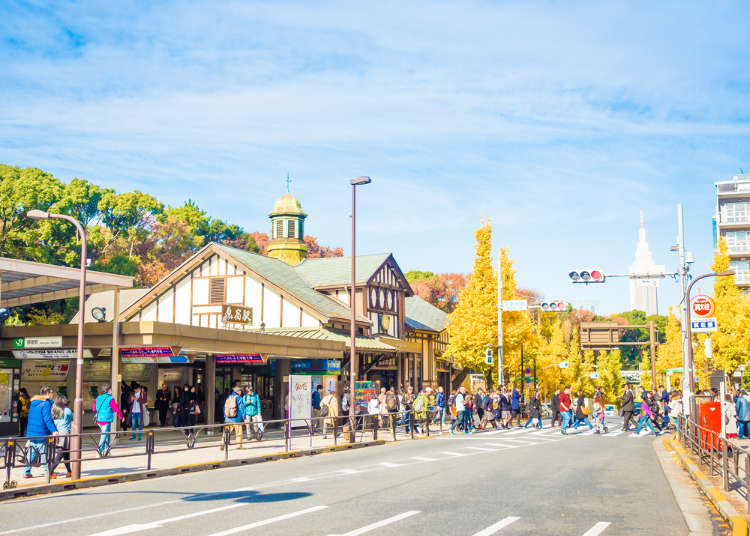 Sepuluh Langkah Menjadi Ahli Shibuya dan Harajuku