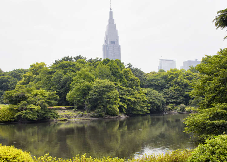 新宿で、緑を感じられる場所