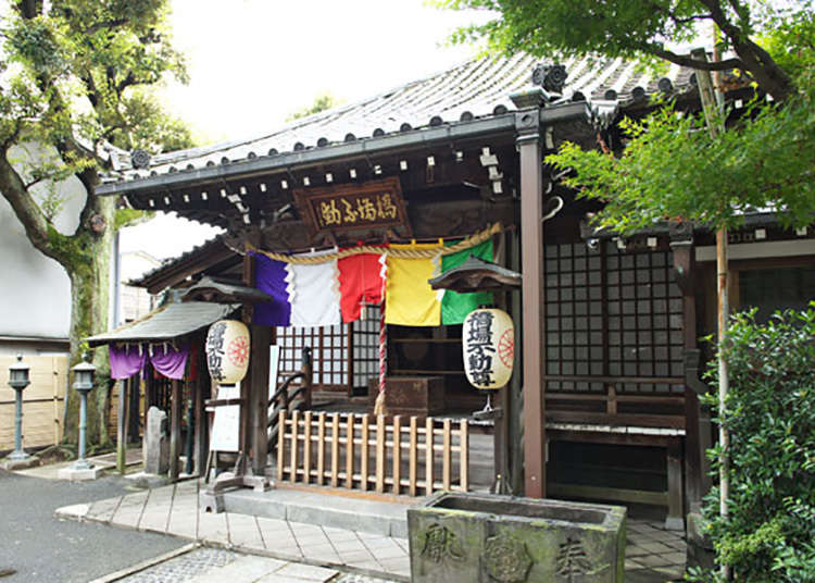 Hashibaji-fudoin and a 700 Year Old Ginkgo Tree