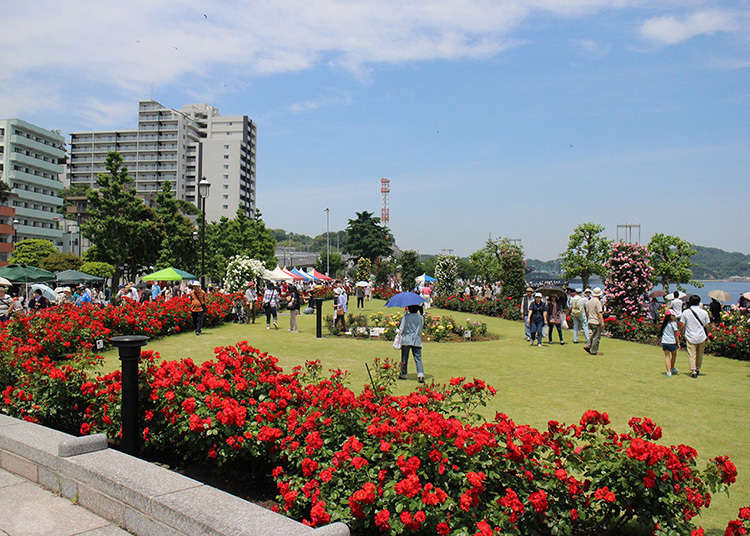 Gaya taman Perancis menghadapi Pelabuhan Yokosuka