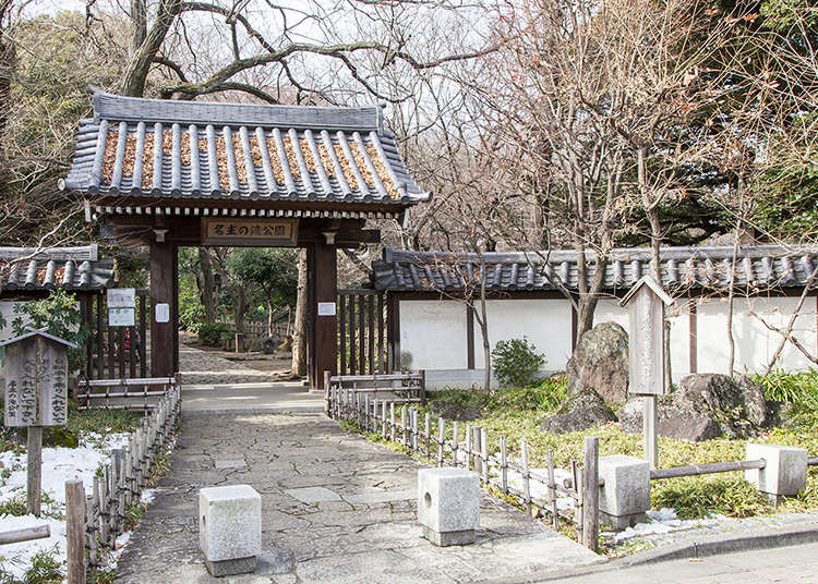 4개의 폭포가 둘러싼 녹음이 우거진 일본 정원