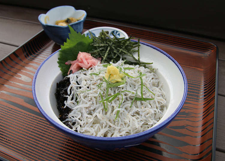 Menikmati Shirasu (Sejenis Ikan Teri) yang Kaya akan Aroma Laut