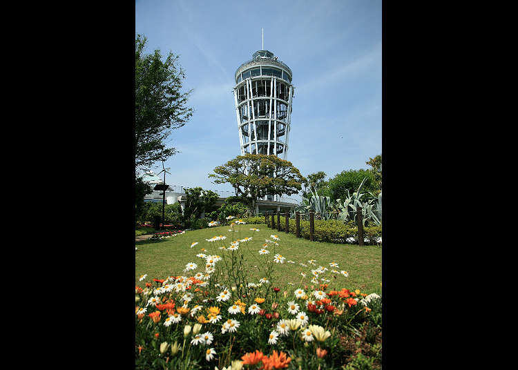 ตื่นตาดูทัศนียภาพที่ประภาคาร "Enoshima Sea Candle"