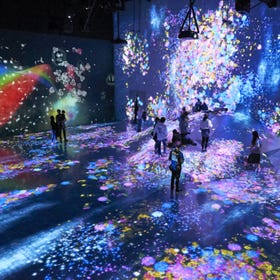 MORI Building DIGITAL ART MUSEUM: teamLab Borderless