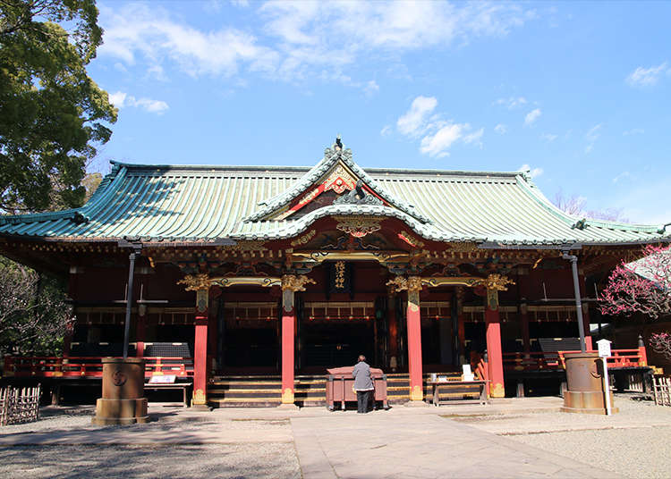 Visit the historic, solemn shrine, Nezu Shrine