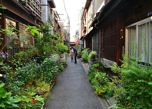 도쿄 츠키시마 - 몬자야키와 함께 서민적인 풍경을 만날 수 있는 도쿄의 대표적인 시타마치!