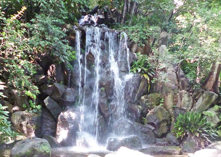 A waterfall at the park? A free secret oasis to heal your mind near the station