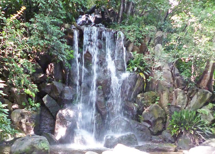 Air Terjun di Taman!? Dekat Stasiun yang Menenangkan Hati dan Oase Gratis yang Tidak Diketahui Banyak Orang