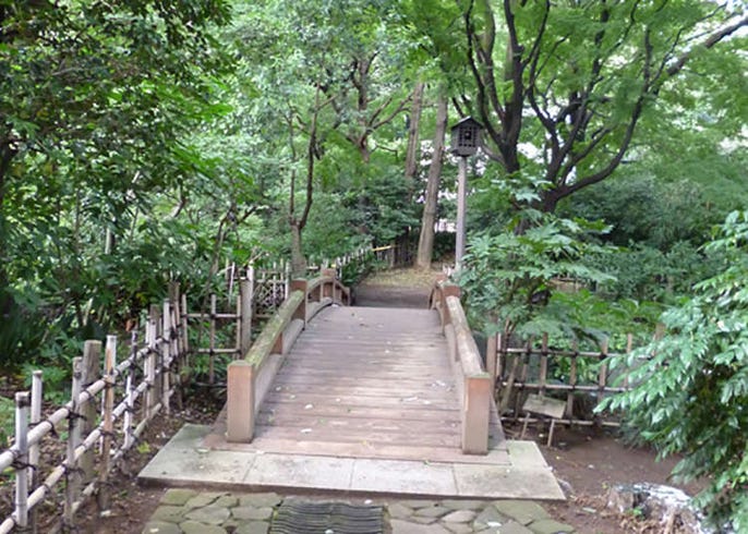 公园里竟然有瀑布 毗邻车站人鲜知 免费绿洲散心时 Live Japan 日本的旅行 旅游 体验向导