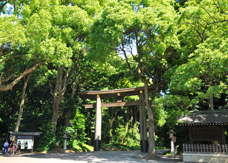 Exploring Meiji Shrine in Tokyo