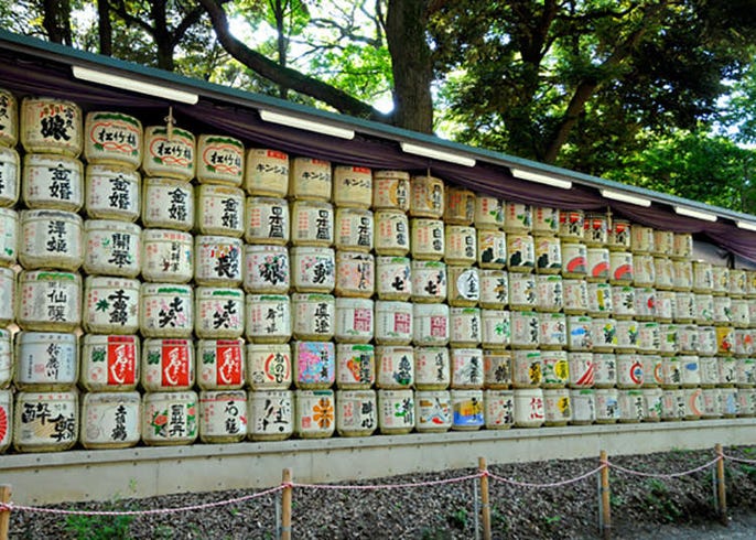 3000種の動植物が生息 明治神宮の森をめぐる Live Japan 日本の旅行 観光 体験ガイド