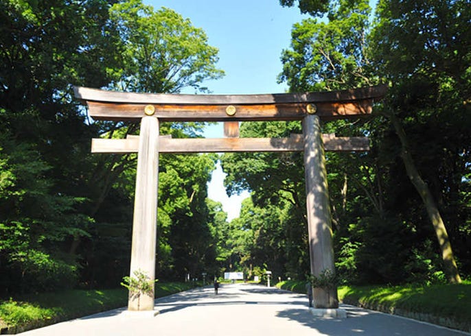 3000種動植物棲息 一訪明治神宮的森林 Live Japan 日本旅遊 文化體驗導覽