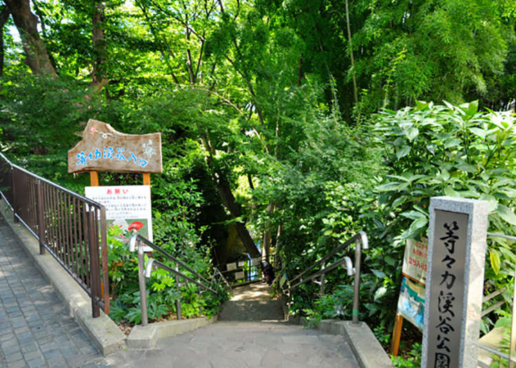 도쿄 도내의 유일한 ​​계곡! 희귀한 자연 명소