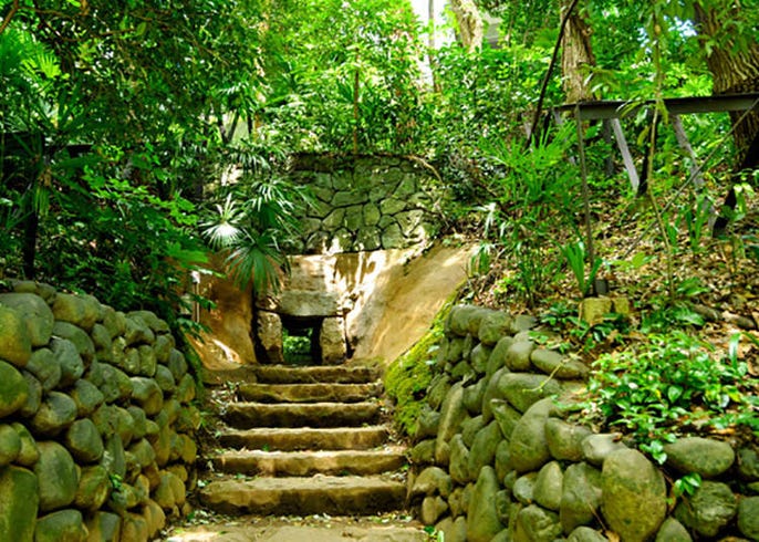 在山清水秀的等等力溪谷里修养身心 Live Japan 日本的旅行 旅游 体验向导