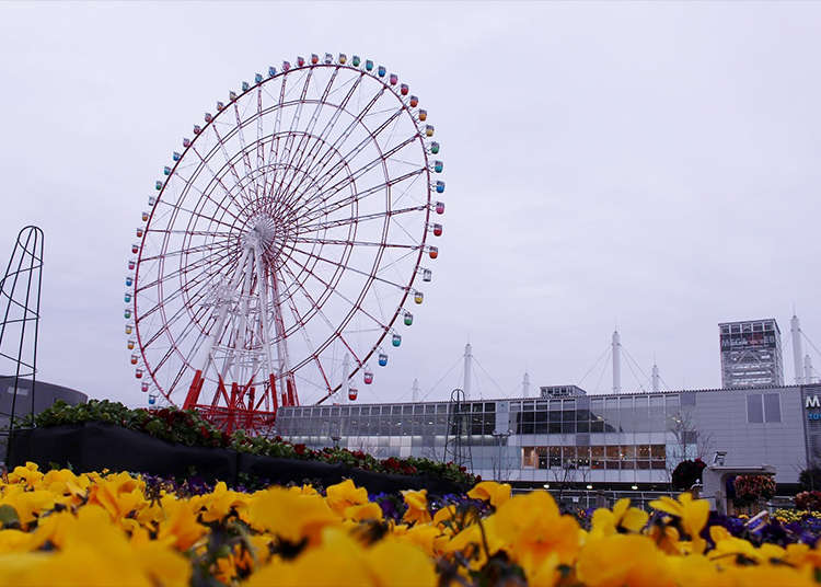 An Amazing View of Tokyo from the Ferris wheel