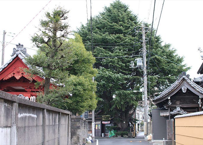 Guide To Tokyo S Old Quarter 7 Quaint Spots In Yanesen Live Japan Travel Guide