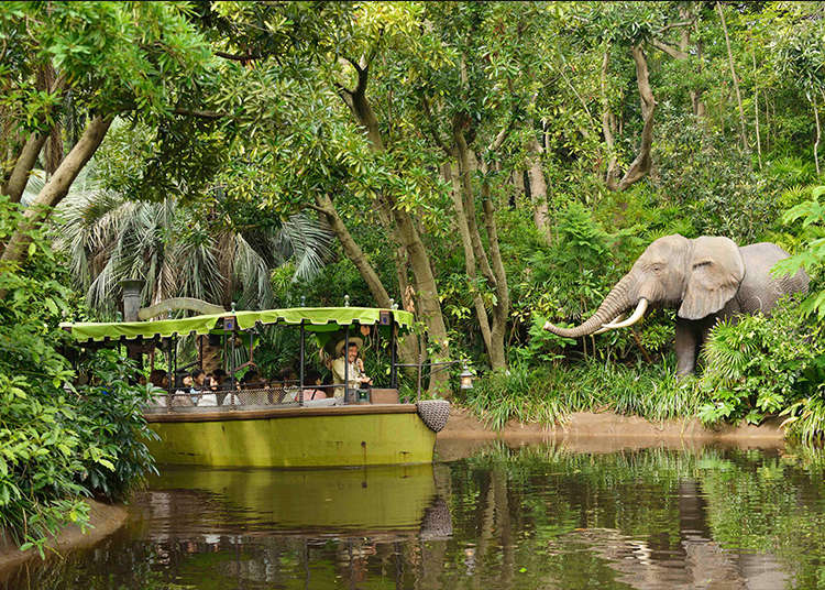 Venture into the Wilderness with the Jungle Cruise!