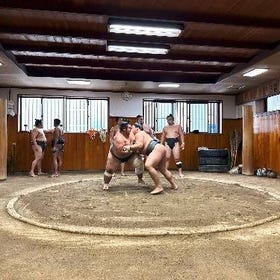Sumo Stable Intimate Morning Practice with Expert Guide & Lunch
Details & Bookings ▶
(Photo: Klook)