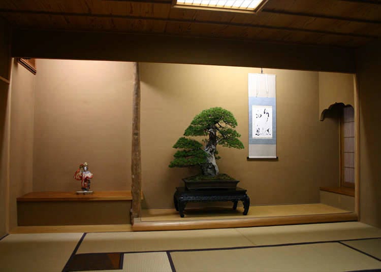 Bonsai: A real experience