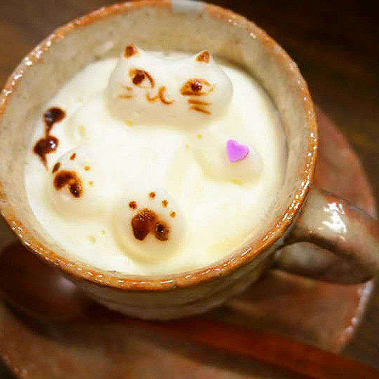 A Cat in My Latte?! Incredible Latte Art at Tokyo's Oshiage Nyanko
