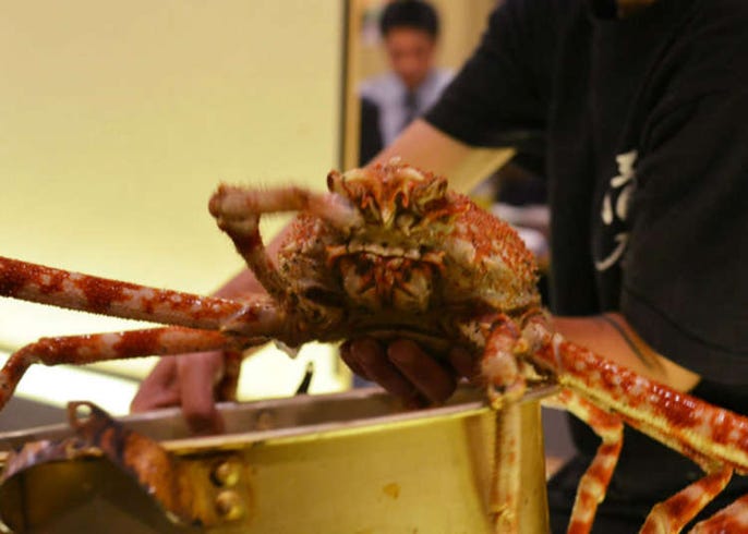 東京イカセンターに潜入 コリッコリの活イカが絶品すぎた Live Japan 日本の旅行 観光 体験ガイド