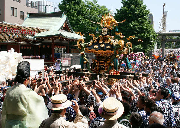 Sanja Matsuri Festival