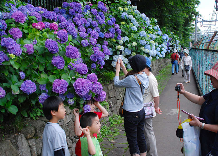 飛鳥山公園