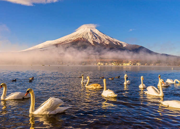 Japanese Climate and Population