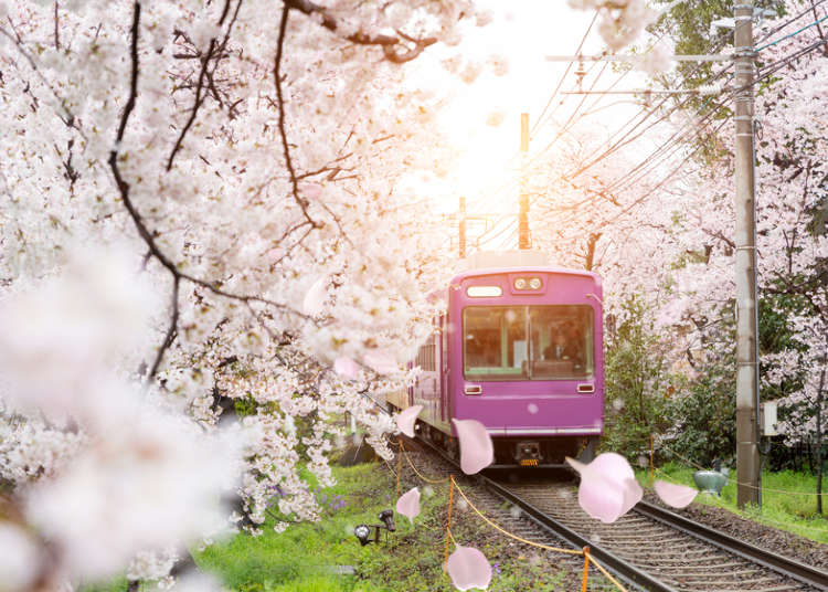 [MOVIE] Penting untuk Berpindah Tempat! Kuasai Cara Naik Kereta di Jepang