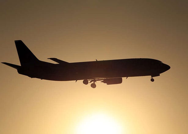 どれに乗る？飛行機の種類と料金体系について