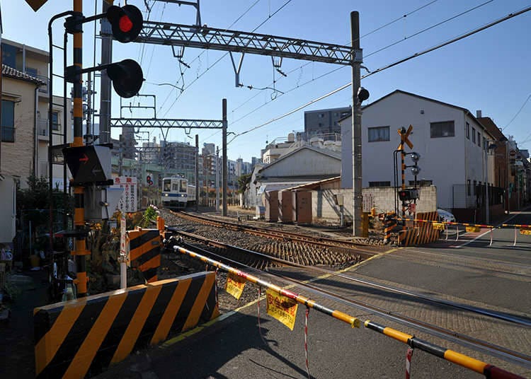 Cars must stop at train crossings