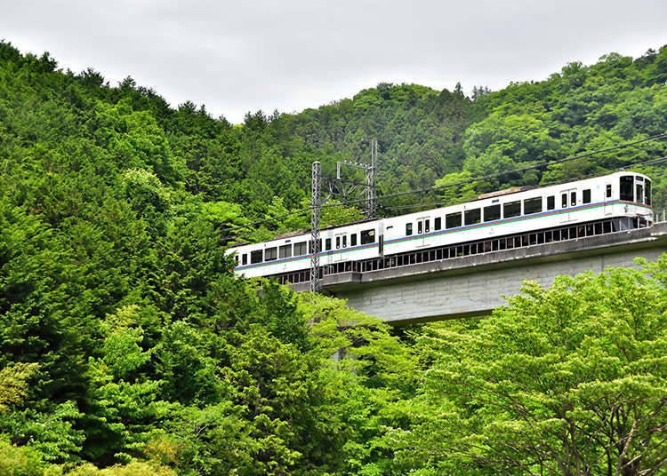 Seibu Railway's 1-day tickets