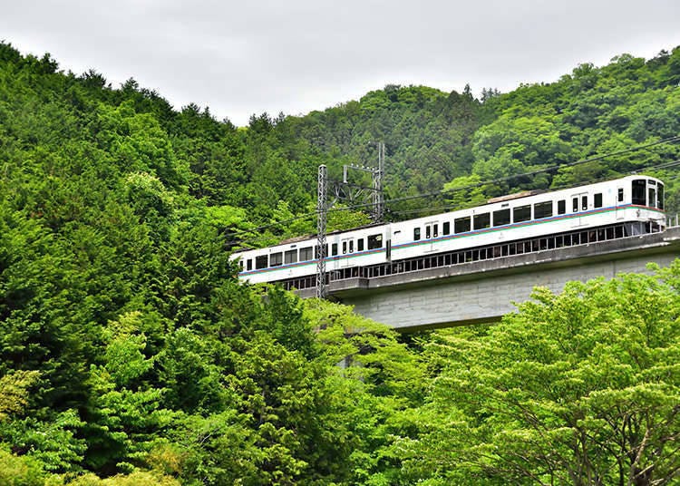 Tiket Naik Kereta Seharian Seibu