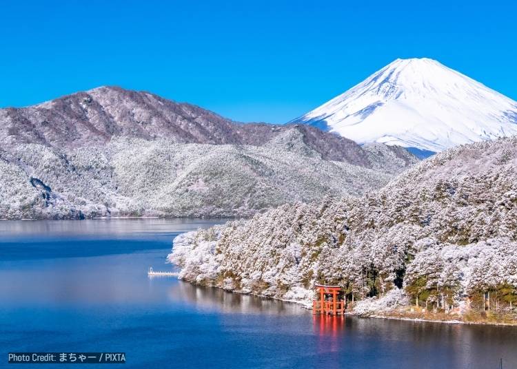 圖片來源：PIXTA