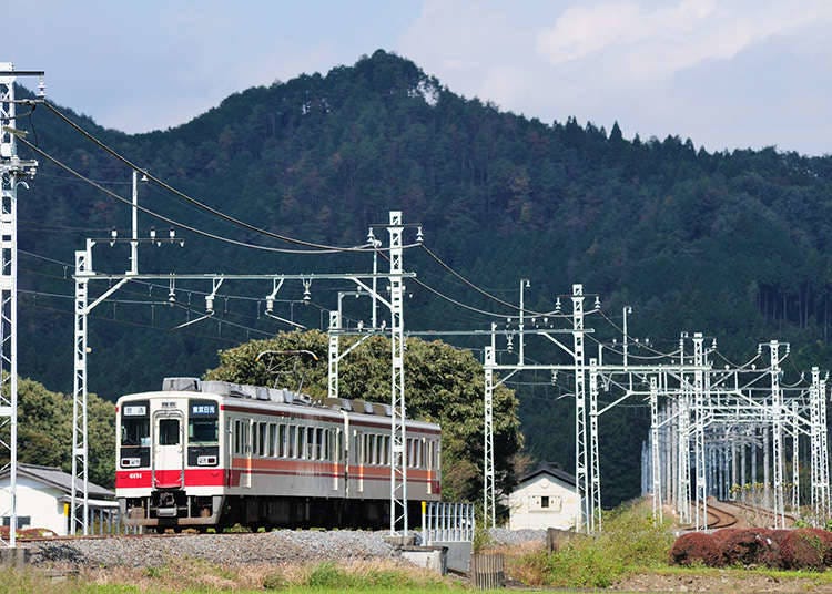 5. Tourist tickets from Tobu Railway