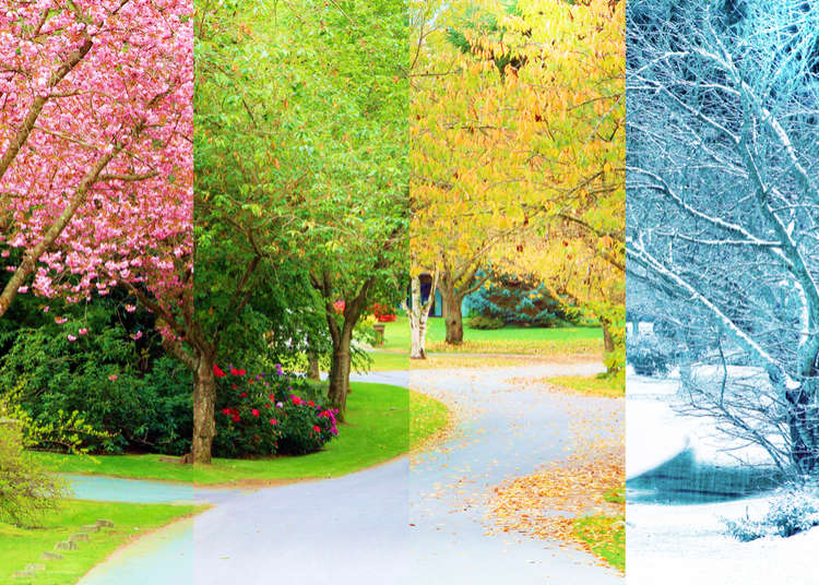 Weather 4 seasons The four