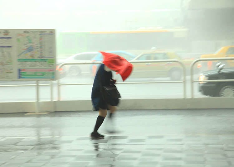 台风时节