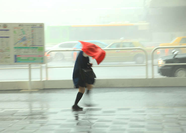 颱風的時期