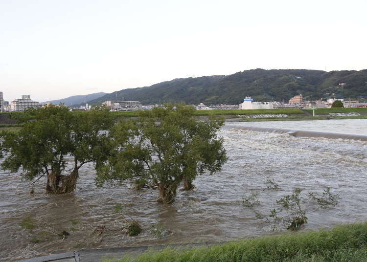 Natural Disasters in Japan