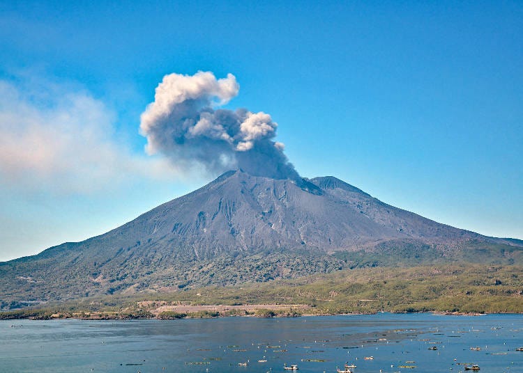 Sakurajima (Image: PIXTA)