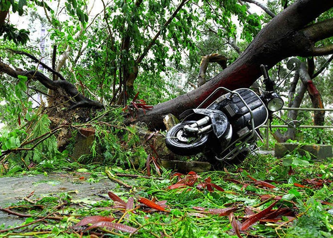 Bencana Alam Live Japan Jepang Perjalanan Dan Pariwisata Pemandu