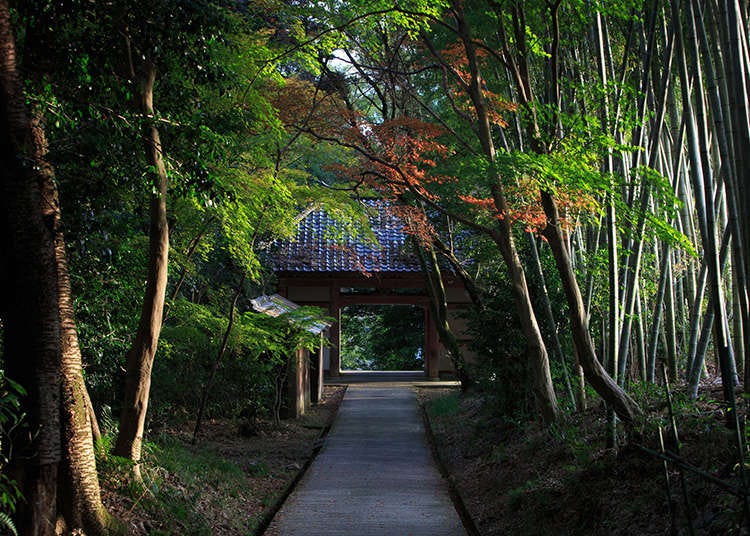 The History and Nature of Shintō | LIVE JAPAN travel guide