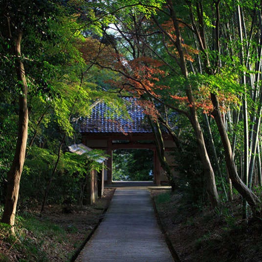 Natural History Development in Japan an… Natural History Development in Japan and Its Future