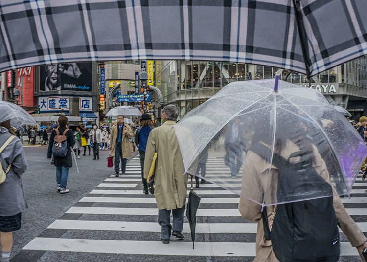 4. What and when is "Tsuyu" - Japan's rainy season?